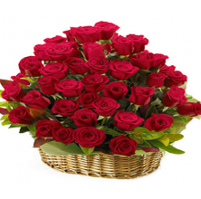 Magnificent Red Roses - 36 Stems Basket
